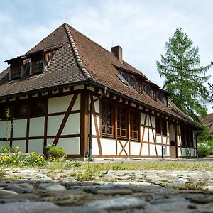 Hotel Schloss Hohenfels/ Gästehaus Morgenrot Hohenfels  Exterior photo