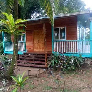 Villa The Bamboo House Bocas del Toro Exterior photo