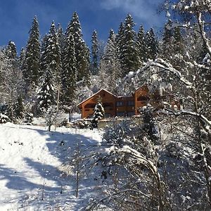 Hotel Privatna Sadiba Chalet Oryavchyk Exterior photo