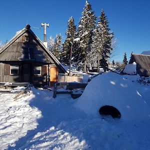 Villa Chalet Encijan - Velika Planina Stahovica Exterior photo