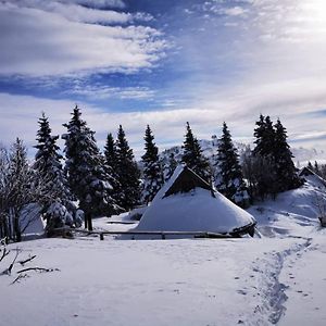 Villa Chalet Resa - Velika Planina Stahovica Exterior photo