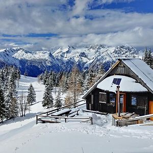 Villa Chalet Zlatica Velika Planina Stahovica Exterior photo