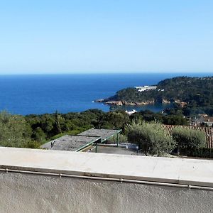 Apartment Les Oliveres Begur Exterior photo