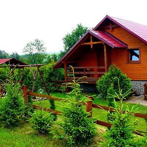 Villa Agroturystyka Zielona Zagroda W Kosztowej Dubiecko Exterior photo