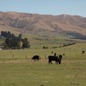 Shearvue Farmstay With Optional Free Farm Experience At 5Pm Fairlie Exterior photo