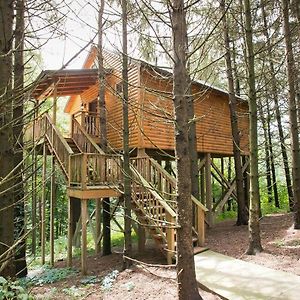 Villa Whispering Pines Treehouse By Amish Country Lodging Millersburg Exterior photo