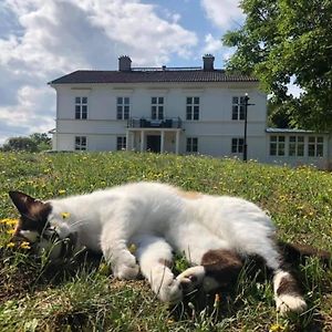 Bed and Breakfast Amiralsgården Werstorp Karlskrona Exterior photo