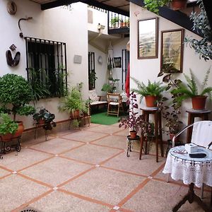 Gasthaus Casa Rural Morada Maragata Cózar Exterior photo