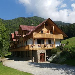 Hotel Turisticna Kmetija Zgornji Zavratnik Luče Exterior photo