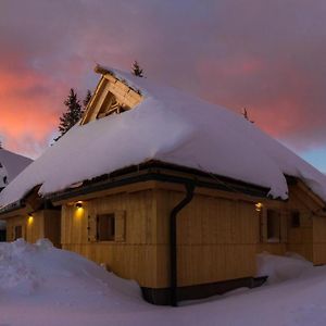 Villa Koca Zafran - Velika Planina Stahovica Exterior photo