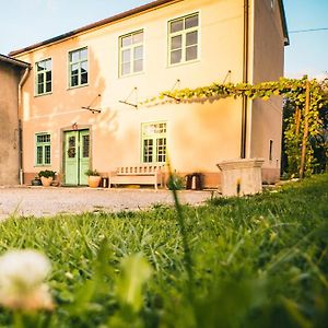 Villa Belakapa Authentic House With Garden And Free Parking Ilirska Bistrica Exterior photo