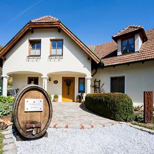 Bed and Breakfast Weinberghof Ilkerl Krems an der Donau Exterior photo