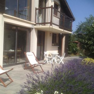 Villa Maison Sur La Colline Cheminee Wifi Proche Thermes Aubin  Exterior photo