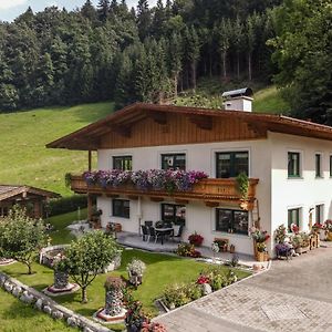 Ferienwohnung Haus am Waldrand Hopfgarten im Brixental Exterior photo