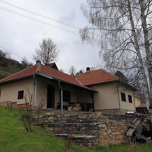 Villa Kuca Za Odmor - Martic, Rudno, Golija Kraljevo Exterior photo