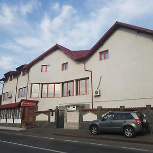 Hotel La Zinculescu Albestii Paminteni Exterior photo