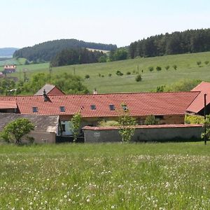 Gasthaus Podkrovi V Jihoceskem Statku Nemejice Exterior photo