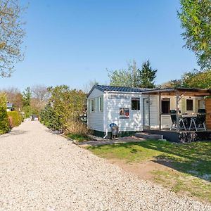 Villa De Buizerd Hulshorst Exterior photo