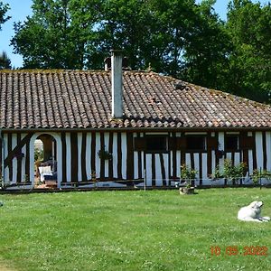 Bed and Breakfast La Grande Jaougue Callen Exterior photo