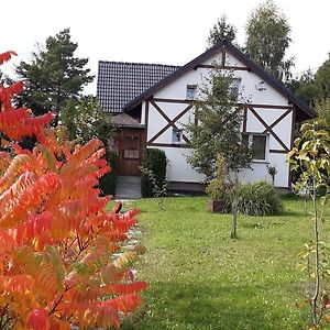 Hotel Karkonoski Widok Dziwiszow Exterior photo