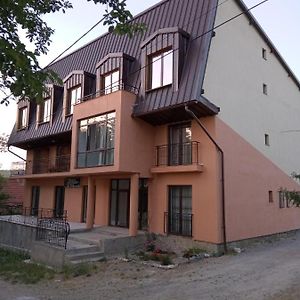 Bed and Breakfast Pensiunea Valea Beiului Sokolar Exterior photo