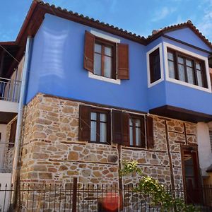 Villa Renovated Old Manor House With Yard Arnea Exterior photo