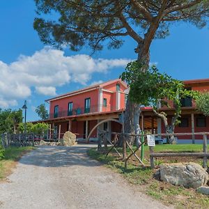 Bed and Breakfast Terra Di Vento Montecorvino Pugliano Exterior photo