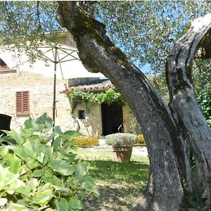 Villa Castigliona Cetona Siena Le Piazze Exterior photo