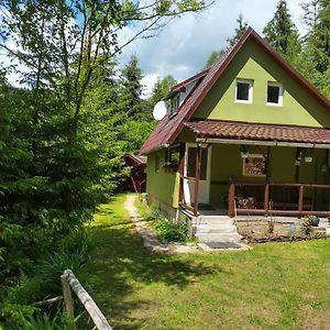 Villa Green House Gheorgheni  Exterior photo