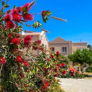 Casa Verde Houses Kos-Stadt Exterior photo