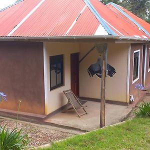 Trekkers Tavern Cottages, Ruhija Luhizha Exterior photo