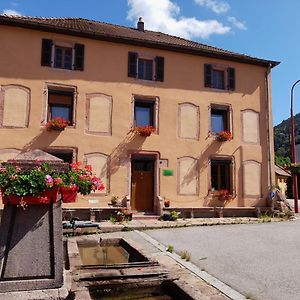 Bed and Breakfast La Maison Du Vannier Raon-les-Leau Exterior photo