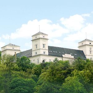 Hotel Zamek Racice Exterior photo