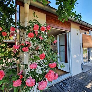 Ferienwohnung Terrasses du Zimmerberg Barr Exterior photo