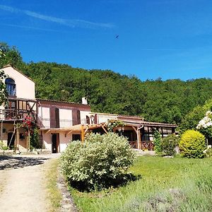 Villa Metairie De Lamourade - Un Ecrin De Nature Sereine Saint-Ferriol Exterior photo