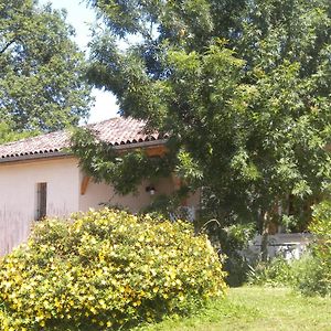 Villa Maison De Vacances De Recailleau Nérac Exterior photo