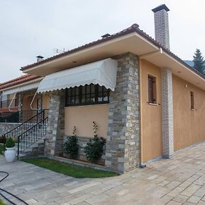 Villa Βίλα Για Όλες Τις Εποχές Του Χρόνου Kozani Exterior photo