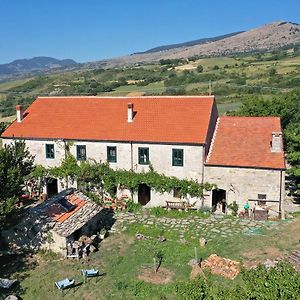 Bed and Breakfast chevalier claudio Agnone Exterior photo