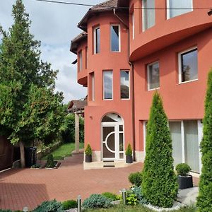 Villa Crystal Salin Turda Exterior photo