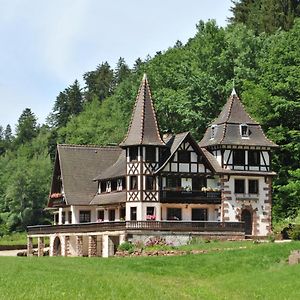 Villa Le Saint Moulin De La Petite Pierre Lohr Exterior photo