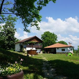 Villa Kesta Za Gosti " Kasapite " Kameshtitsa Exterior photo