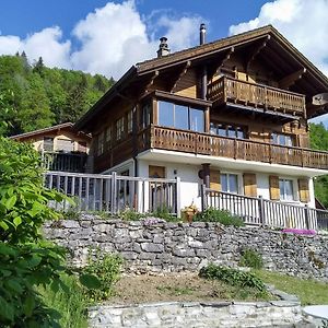 Villa Chalet Le Tsale Les Sciernes d'Albeuve Exterior photo