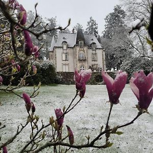 Bed and Breakfast Chateau Maleplane Saint-Léonard-de-Noblat Exterior photo