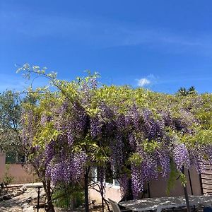 Bed and Breakfast Le Clos Des Olivettes Sainte-Croix-de-Quintillargues Exterior photo