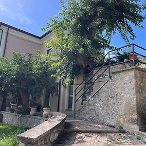 Bed and Breakfast L'Antico Gelso Viggiano Exterior photo