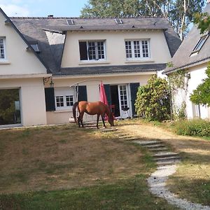 Bed and Breakfast La Fantasia Verrieres-en-Anjou Exterior photo