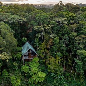 Villa Rose Gums Wilderness Retreat Butchers Creek Exterior photo