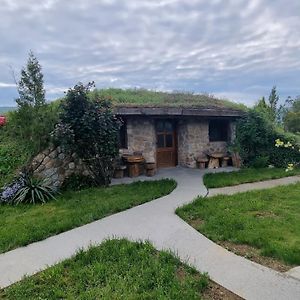 Bed and Breakfast Hobbit Eco House -Zdrelo Opština Opština Petrovac na Mlavi Exterior photo