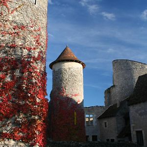 Bed and Breakfast Chateau D'Ingrandes Ingrandes  Exterior photo