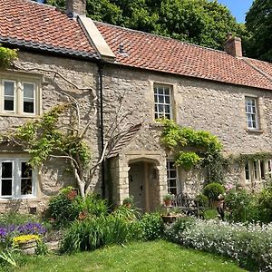 Bed and Breakfast Maplestone Shepton Mallet Exterior photo